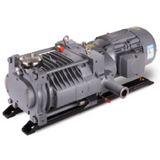 Claw pump, claw vacuum pump